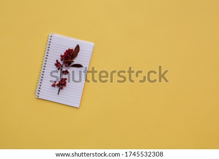 Red Plant In A White Notepad