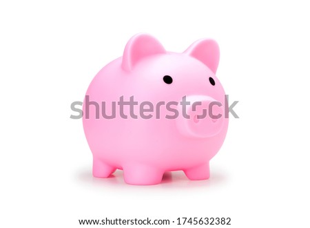 pink piggy bank side view for save coin real photo image on white background. pig doll bank for saving money isolate on white with clip path, best for die cut