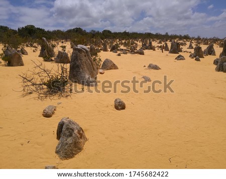 landscape view of pinnacle desert with the beautiful blue sky in western Australia 