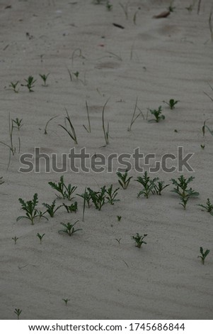 Beautiful sandy beach photography in germany