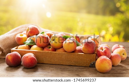 fresh ripe peaches with leaves in a box on a wooden table Royalty-Free Stock Photo #1745699237