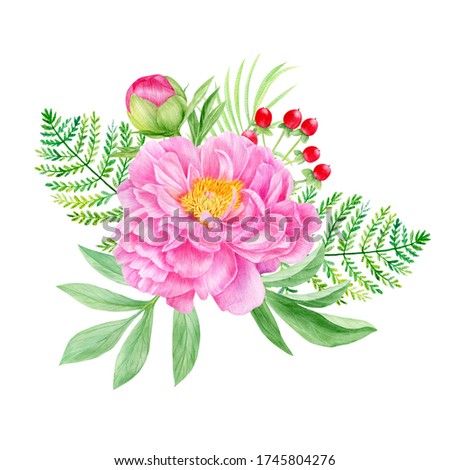 Watercolor  pink peony flowers composition with leaves and berries. 
Botanical illustration isolated on white background.