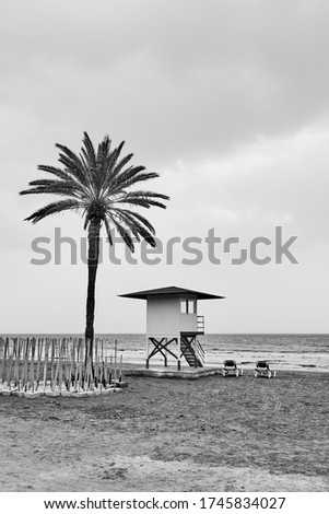 Beach with palm tree and life guard tower by the sea in low season  - Black and white photography