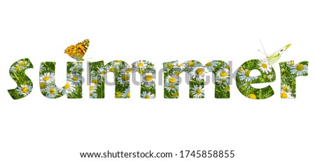 Photo collage - word "summer", isolated on a white background. Inscription is made of photographs of daisies in the grass and butterflies