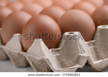 fresh organic egg in paper panel of consume industry