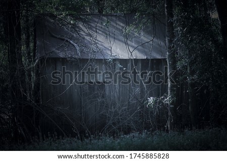 Old home in Woods in Rural Alabama
 Royalty-Free Stock Photo #1745885828