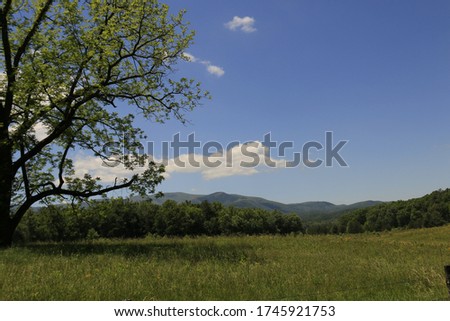 Picture of the view at Cades Cove