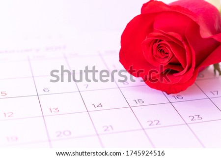 single rose flower on calendar page, valentin, valentine card concept, 