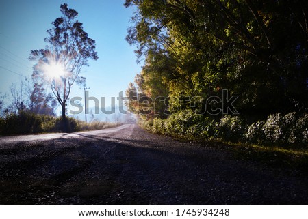 Lonely road With bright sunshine On the Royal Agricultural Station Angkhang In Chiang Mai, Thailand, background images, nature