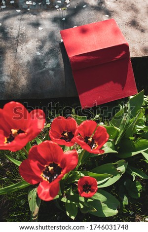 The red thick book lies on the grass near the red tulips growing in the green grass