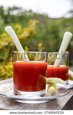 Two glasses of tomato juice with parsley and celery decorations, stand on wooden boards in the garden, morning sunlight shines, shallow depth of field, selective focus. The concept of natural drinks.