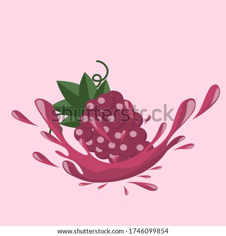 Red grape juice splash cartoon icon vector illustration.