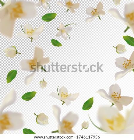 3D realistic jasmine with green leaf. White jasmine flower in motion. Beautiful jasmine background. Falling flower jasmine. Vector illustration. Vector illustration. Royalty-Free Stock Photo #1746117956