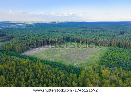A huge area of continuous deforestation of green coniferous forests. Human impact on the environment. Aerial Shot. Royalty-Free Stock Photo #1746121592