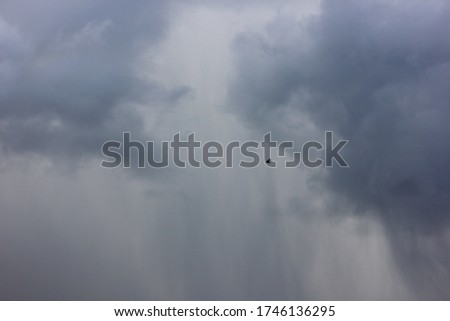 dark sky with storm clouds and flying swallows