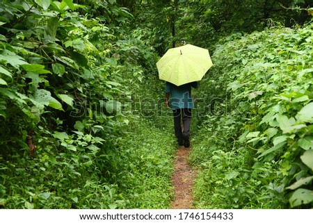 man walking in deserted forest road