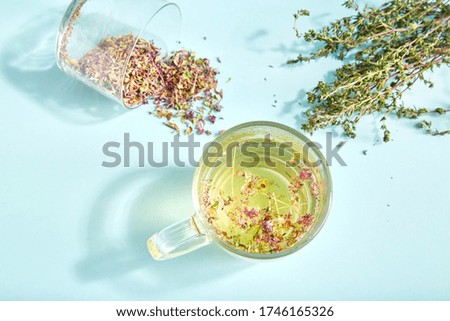 Thyme antiviral drink. Thyme organic drink in a glass cup on colored background