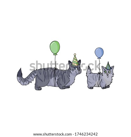 Cute cartoon munchkin cat and kitten with party hat vector clipart. Pedigree kitty breed for cat lovers. Purebred grey celebration kitten for pet parlor illustration mascot. Isolated housecat. EPS 10.