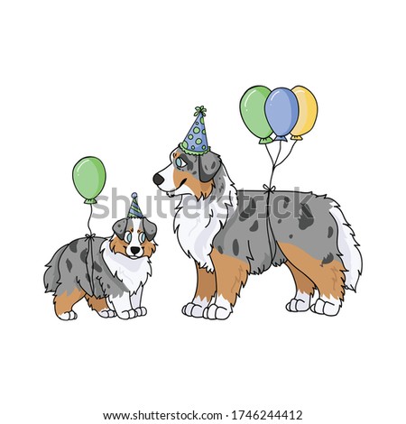 Cute cartoon australian shepherd dog and puppy with party hat vector clipart. Pedigree kennel doggie for dog lovers. Purebred domestic for celebration illustration mascot. Isolated canine hunting.