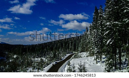 Carpathian mountains mountain range pine forests coniferous mountain tops winter snow aerial photography