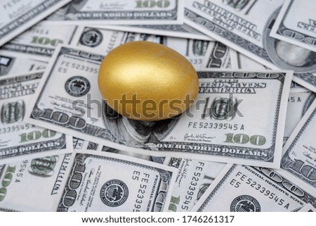Golden egg isolated on dollar bank note background.