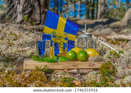 Summer refreshments. Two glases of water, lemons, limes and mint on the background of scandinavian nature and swedish flag. Different water drops combinations. Sweden