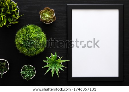 A black desk with an empty frame and a group of green plants.