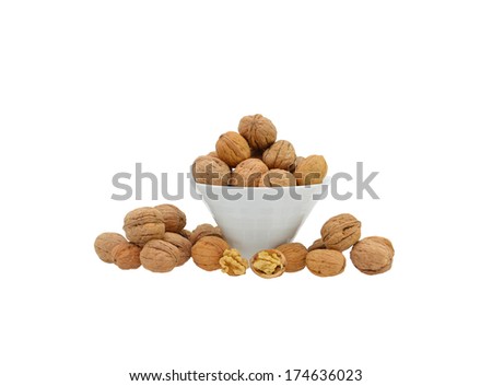 Walnuts grown in Spain isolated on white background held by female adult wood mannequin 