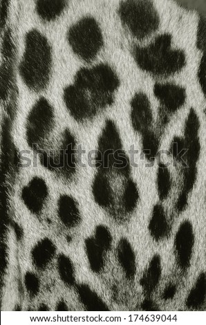 leopard fur pattern