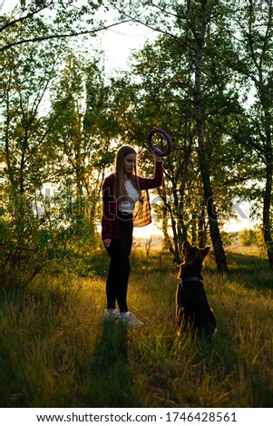 Happy blonde girl is played and is raising a dog. Dog Shepherd, female. Friend dog. Outdoor photo shoot at sunset
