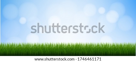 Green Grass Isolated Blue Background With Gradient Mesh, Vector Illustration