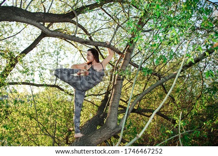 A young woman is doing yoga in a tree. Healthy lifestyle concept.