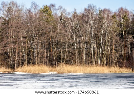 Traditional polish landscape in winter, frozen lake.