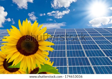 Solar cells and sunflower on a sunny day