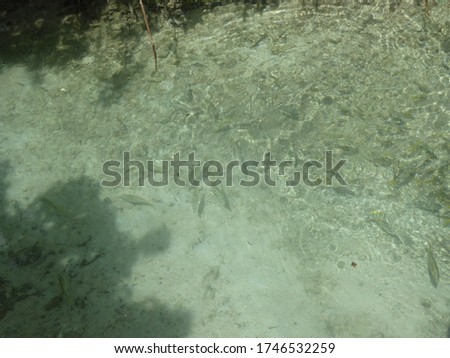 Rippling water and sand bed
