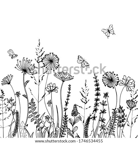 Black silhouettes of grass, spikes and herbs isolated on white background. Hand drawn sketch flowers and bees. Coloring book page design, elements for home decor and textile.
 Royalty-Free Stock Photo #1746534455