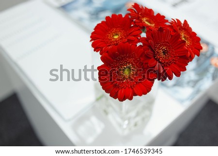 Red gerberas on the white table. High quality photo