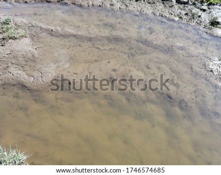 puddle water swamp silt clay