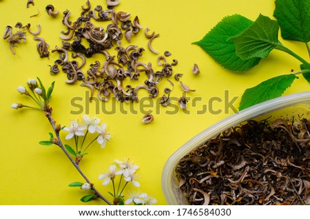 calendula seeds on yellow background. Marigold. Top view.