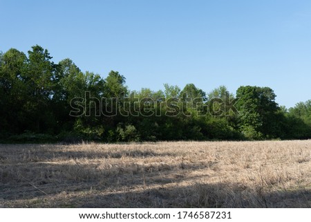 Delaware open field farm land during the summer on a clear blue sky day