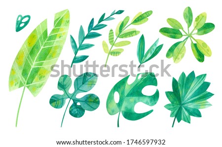 Tropical leaves mix watercolor illustrations set. Jungle watercolor drawings pack. Cartoon green cliparts on white background.