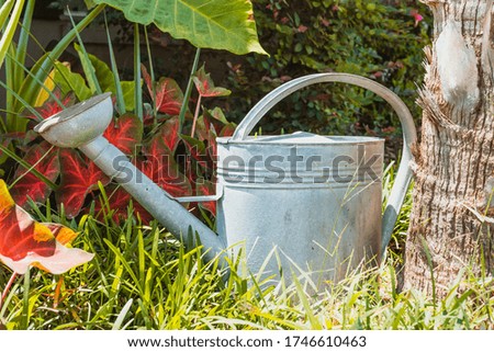 Metal watering can in tropical garden 