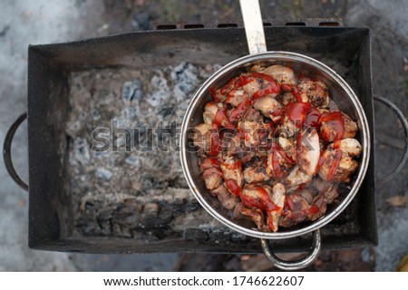 Picture of a chiken kebabs in a large pan are in an extinct brazier in winter