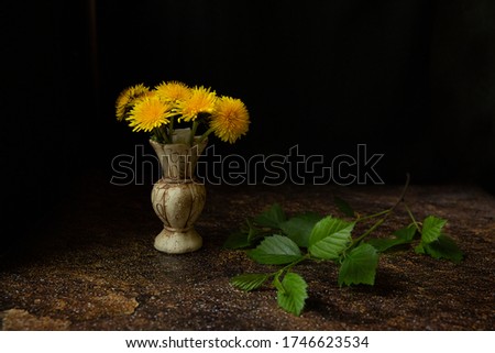 On a dark black and brown background, yellow dandelion flowers in a small beautiful antique stone light vase with a green branch with leaves lying next to it. Still-life.