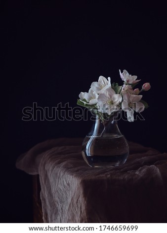 Spring bouquet from branches of blooming apple trees in transparent vase on a black background .Minimalist floral still life.Art Photo.