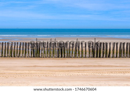 Oye-plage in the Platier d'Oye nature reserve, between Calais and Dunkirk, Hauts-de-France