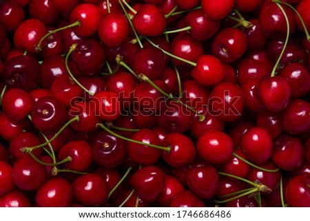 Red cherries in full screen. The texture of cherries. A lot of red cherries. Fresh ripe sweet cherries with green stems