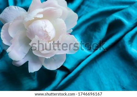 flower composition. pink peonies on a turquoise background, pearls and space for text. congratulation. invitation. flat lay