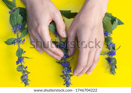 Female hands near the composition of bright blue field flowers on yellow background. Blooming wild flowers. Flat lay. Background, postcard, banner, copy space, close up, top view