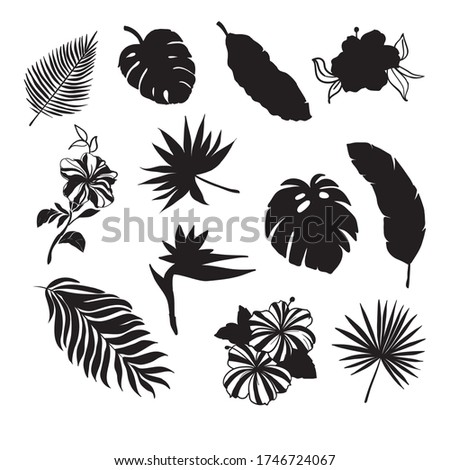 Tropical Leaves Silhouette Set with some flowers in black color as  Banana Palm, Monstera, Fern, Bird of Paradise, Plumeria, Heliconia, Hibiskus.